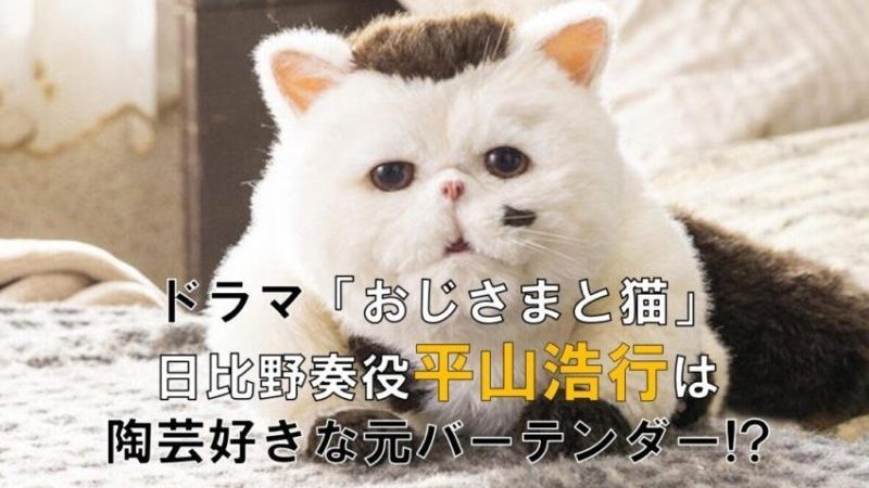 ドラマ おじさまと猫 日比野奏役平山浩行は陶芸好きな元バーテンダー ドラマ 芸能